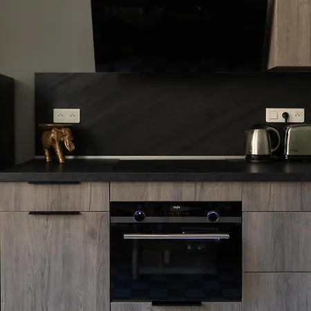 La Chouette Des Ducs, En Hypercentre Apartamento