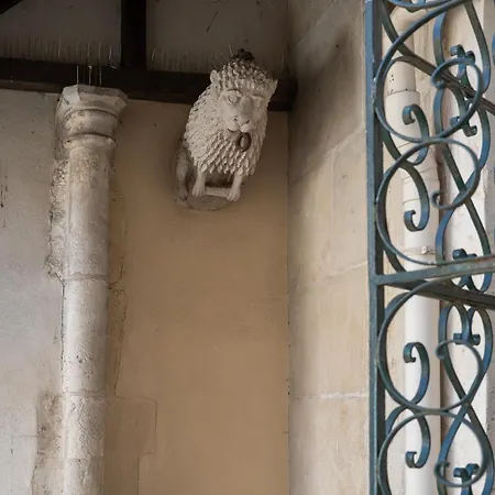 La Chouette Des Ducs, En Hypercentre Appartement *