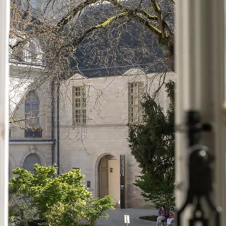 La Chouette Des Ducs, En Hypercentre Dijon
