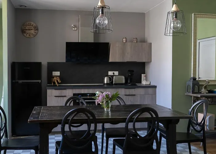 La Chouette Des Ducs, En Hypercentre Apartman Dijon